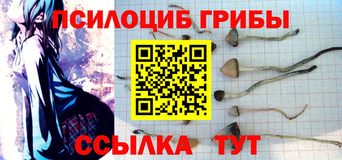 Полевской  Псилоцибиновые грибы Magic Shrooms  Вход с VPN 