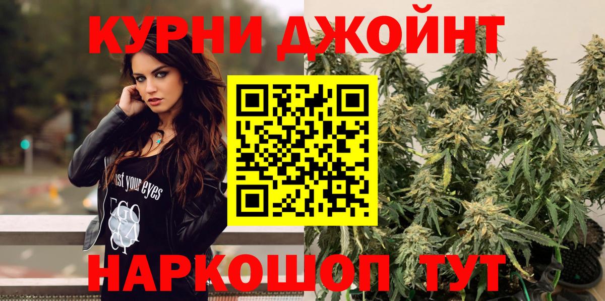 Бошки Шишки план Полевской